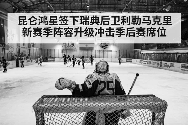 昆仑鸿星签下瑞典后卫利勒马克里新赛季阵容升级冲击季后赛席位